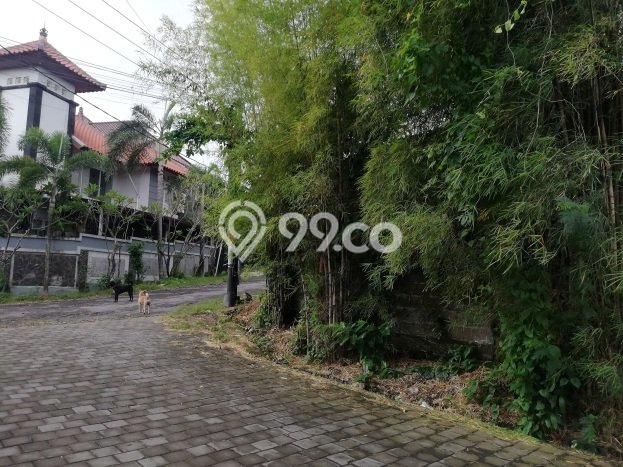 Tanah Investasi Dijual di Denpasar Punya Luas 2280m2 Tanah Investasi Dijual di Denpasar Punya Luas 2280m2