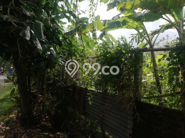 Tanah Kavling Disewakan di Padangsambian Kaja dengan Luas 940m2 Tanah Kavling Disewakan di Padangsambian Kaja dengan Luas 940m2