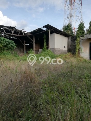 For Rent Tanah di Ketewel, Luas 2400m², Akses Mudah, Lokasi Strategis For Rent Tanah di Ketewel, Luas 2400m², Akses Mudah, Lokasi Strategis