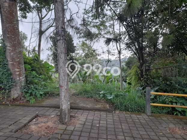 Lahan untuk Dijual di Petang Badung Luas 65000m2 Lahan untuk Dijual di Petang Badung Luas 65000m2