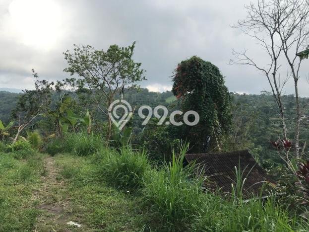 Lahan untuk Dijual di Petang Badung Luas 65000m2 Lahan untuk Dijual di Petang Badung Luas 65000m2