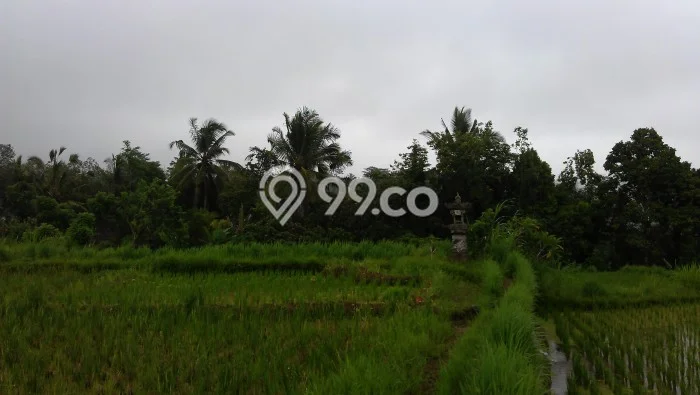 LOKASI STRATEGIS! Tanah di Ubud, Luas 66118m2m², Kawasan Potensial, Cocok untuk Investasi LOKASI STRATEGIS! Tanah di Ubud, Luas 66118m2m², Kawasan Potensial, Cocok untuk Investasi
