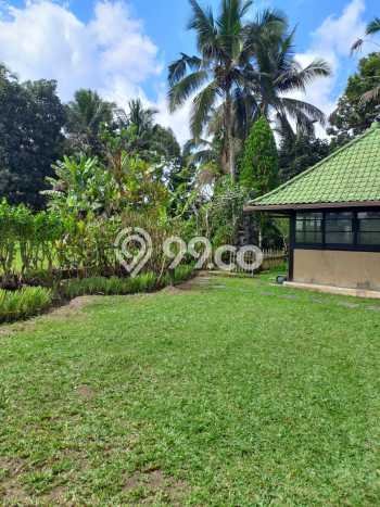 DIJUAL CEPAT! Rumah Siap Huni Area Strategis Petang, LT 11100m2m² Bangunan 500m2m² DIJUAL CEPAT! Rumah Siap Huni Area Strategis Petang, LT 11100m2m² Bangunan 500m2m²
