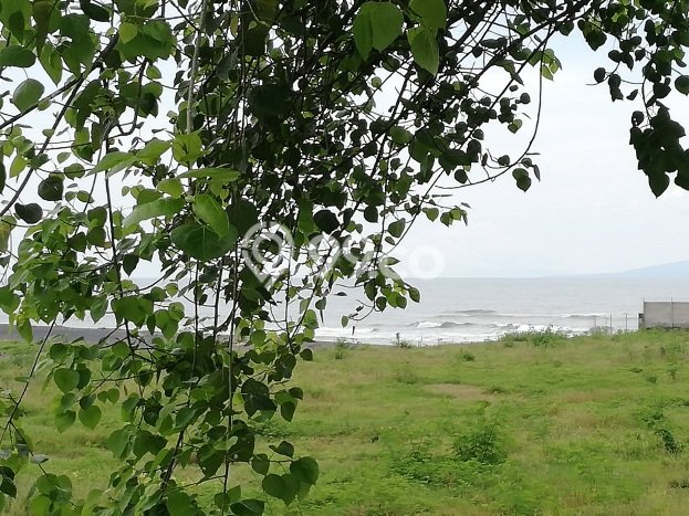 Tanah Kavling Dijual di Gianyar dengan Spesifikasi 7000m2 Tanah Kavling Dijual di Gianyar dengan Spesifikasi 7000m2