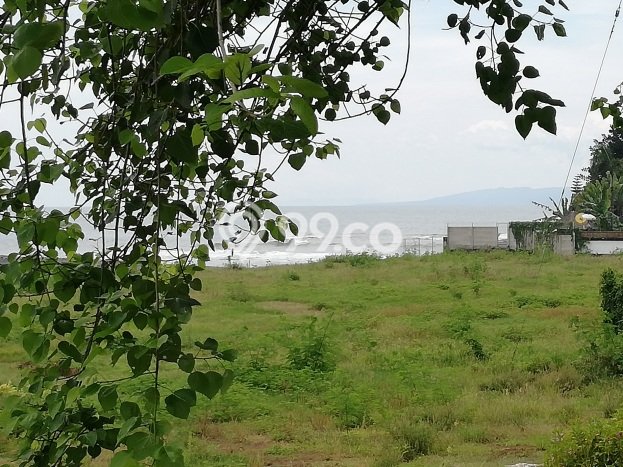 Tanah Kavling Dijual di Gianyar dengan Spesifikasi 7000m2 Tanah Kavling Dijual di Gianyar dengan Spesifikasi 7000m2
