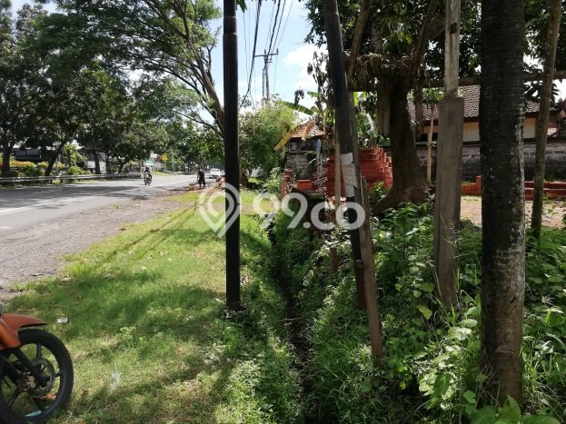 Tanah Strategis di Ketewel, Luas 700m², Disewakan Tanah Strategis di Ketewel, Luas 700m², Disewakan