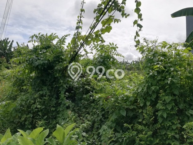 AREA PROSPEKTIF! Tanah di , Luas 1000m2m², Dekat Transportasi, Kawasan Berkembang AREA PROSPEKTIF! Tanah di , Luas 1000m2m², Dekat Transportasi, Kawasan Berkembang