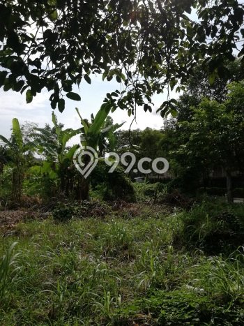 For Rent Tanah Strategis di Renon, Luas 1250m², Dekat ke Renon, Denpasar, Denpasar For Rent Tanah Strategis di Renon, Luas 1250m², Dekat ke Renon, Denpasar, Denpasar