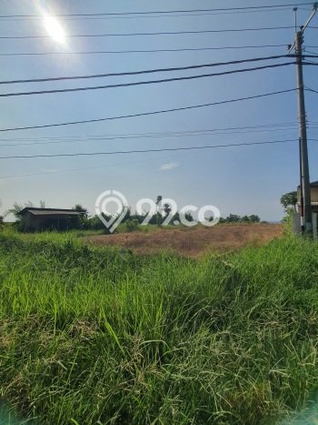 Dijual Tanah di Gianyar, Luas 3000m2 - Dijual Tanah di Gianyar, Luas 3000m2 -