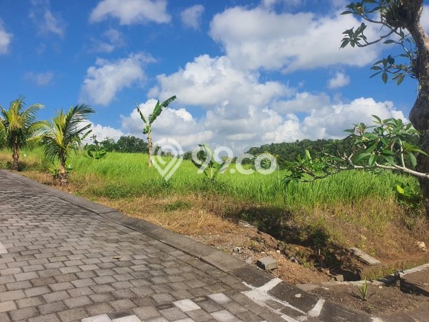 Tanah di Kerambitan, Tabanan Luas 400m2 Dijual Segera Tanah di Kerambitan, Tabanan Luas 400m2 Dijual Segera