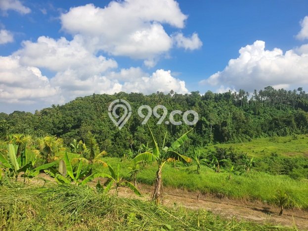 Tanah di Kerambitan, Tabanan Luas 400m2 Dijual Segera Tanah di Kerambitan, Tabanan Luas 400m2 Dijual Segera