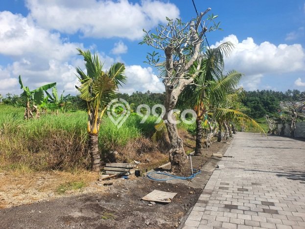 Tanah di Kerambitan, Tabanan Luas 400m2 Dijual Segera Tanah di Kerambitan, Tabanan Luas 400m2 Dijual Segera