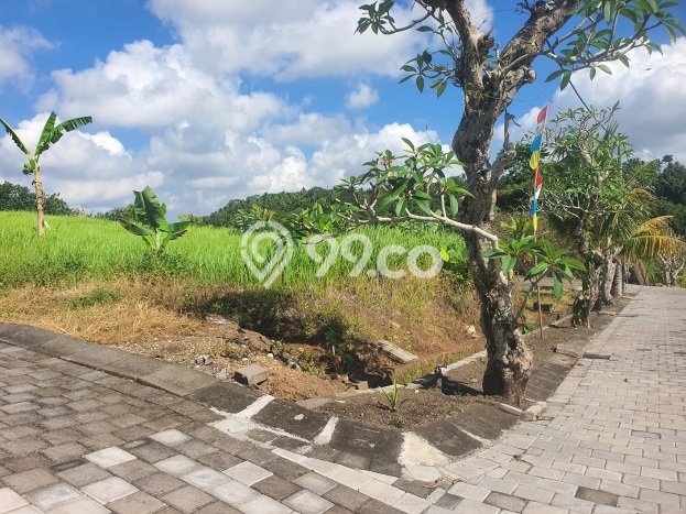 Tanah di Kerambitan, Tabanan Luas 400m2 Dijual Segera Tanah di Kerambitan, Tabanan Luas 400m2 Dijual Segera