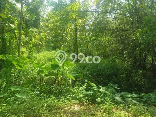 Jual Tanah Lokasi Strategis di , Luas 500m2m², Akses Semarang, Semarang Jual Tanah Lokasi Strategis di , Luas 500m2m², Akses Semarang, Semarang