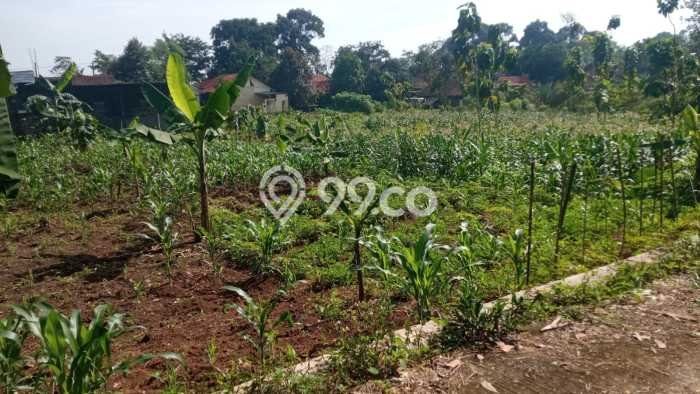 Tanah di Ungaran Timur, Semarang Luas 4014m2 Dijual Segera Tanah di Ungaran Timur, Semarang Luas 4014m2 Dijual Segera