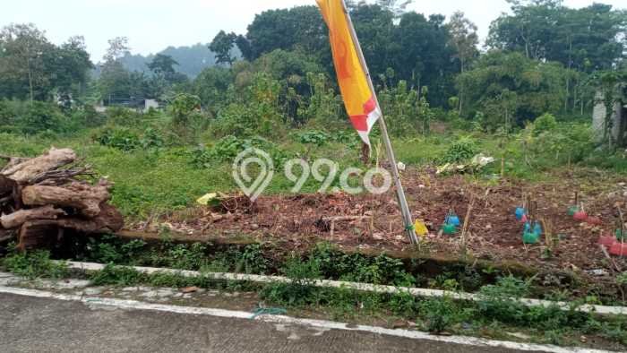Tanah di Ungaran Timur, Semarang Luas 4014m2 Dijual Segera Tanah di Ungaran Timur, Semarang Luas 4014m2 Dijual Segera