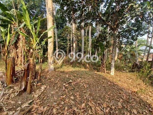 Dijual Tanah Area Strategis Kawasan Ungaran Timur, Luas 1109m2m², Potensi Tinggi Dijual Tanah Area Strategis Kawasan Ungaran Timur, Luas 1109m2m², Potensi Tinggi