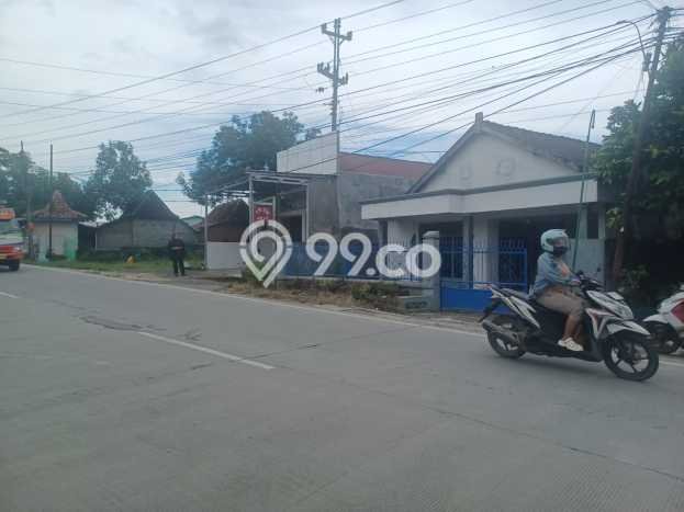 Dijual Rumah 6 Kamar Lokasi Strategis Nyaman dan Strategis di Wirosari Dijual Rumah 6 Kamar Lokasi Strategis Nyaman dan Strategis di Wirosari