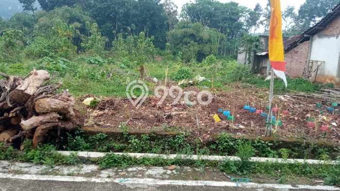 Tanah di Ungaran Timur, Semarang Luas 4014m2 Dijual Segera Tanah di Ungaran Timur, Semarang Luas 4014m2 Dijual Segera