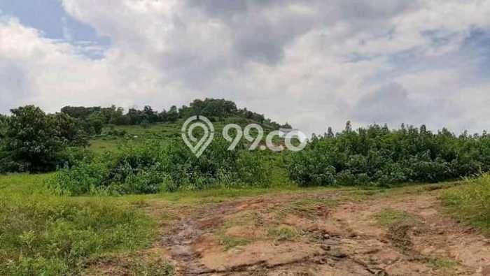 Gudang Bagus Dijual LB 350m2 Lokasi Strategis Semarang Area Cocok untuk Bisnis Gudang Bagus Dijual LB 350m2 Lokasi Strategis Semarang Area Cocok untuk Bisnis