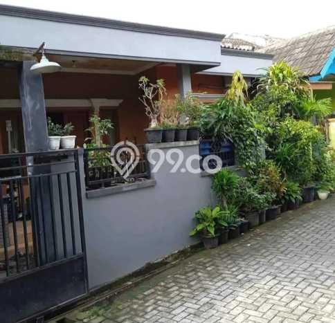 Dijual Cepat Rumah Bagus Siap Huni LB 100m2 di Gajah Mungkur, Semarang Dijual Cepat Rumah Bagus Siap Huni LB 100m2 di Gajah Mungkur, Semarang