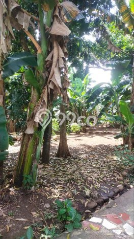 Tanah Dijual Area Strategis di Jati Asih Bekasi 637m2 Tanah Dijual Area Strategis di Jati Asih Bekasi 637m2