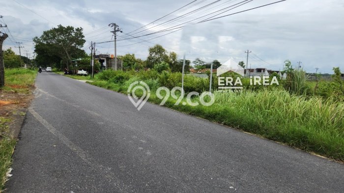Kavling Tanah di Pedan Dijual Luas 5509m2 Legalitas SHM Kavling Tanah di Pedan Dijual Luas 5509m2 Legalitas SHM