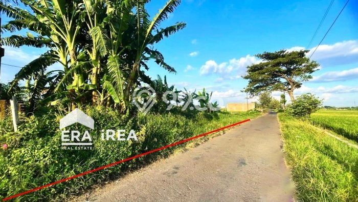 Tanah Komersial Dijual di Gatak Sukoharjo 1724m2 Tanah Komersial Dijual di Gatak Sukoharjo 1724m2