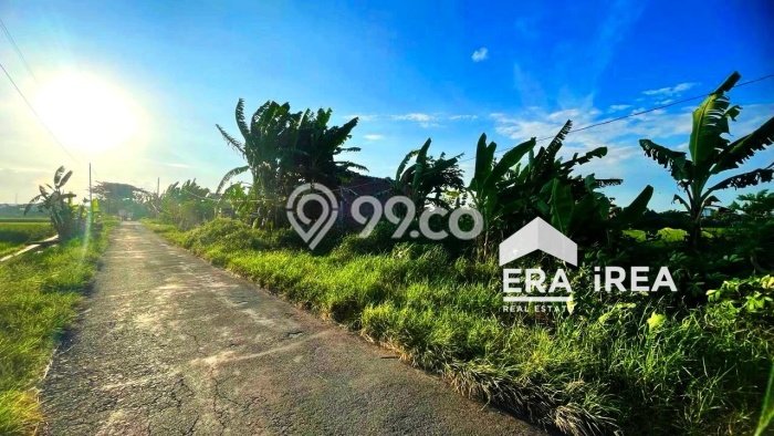 Tanah Komersial Dijual di Gatak Sukoharjo 1724m2 Tanah Komersial Dijual di Gatak Sukoharjo 1724m2