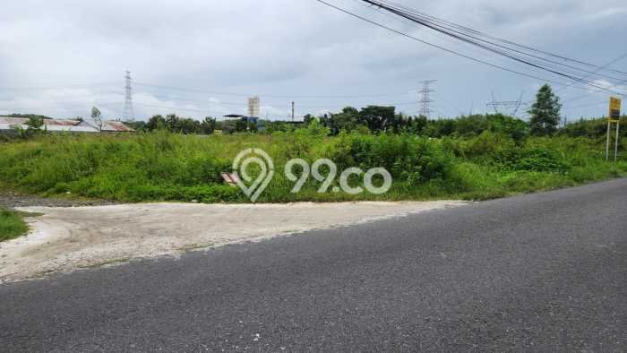 Kavling Tanah di Pedan Dijual Luas 5509m2 Legalitas SHM Kavling Tanah di Pedan Dijual Luas 5509m2 Legalitas SHM