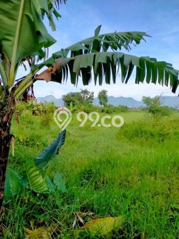 Tanah Dijual Lokasi Katapang, Bandung dengan Luas Tanah 10700m2 dan Status - Tanah Dijual Lokasi Katapang, Bandung dengan Luas Tanah 10700m2 dan Status -