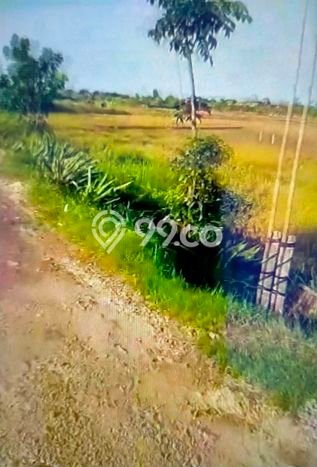 Tanah Strategis Dijual di Brebes Brebes 120000m2 Tanah Strategis Dijual di Brebes Brebes 120000m2