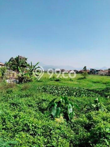 Tanah Dijual Lokasi Katapang, Bandung dengan Luas Tanah 10700m2 dan Status - Tanah Dijual Lokasi Katapang, Bandung dengan Luas Tanah 10700m2 dan Status -