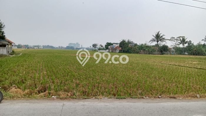 Tanah Dijual Lokasi Majalaya, Bandung Luas 50000m2 Legalitas Aman Tanah Dijual Lokasi Majalaya, Bandung Luas 50000m2 Legalitas Aman
