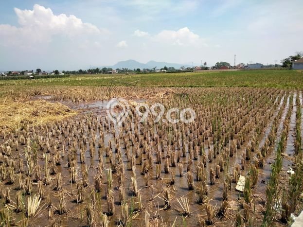 Tanah Dijual Lokasi Majalaya Bandung - Tanah Dijual Lokasi Majalaya Bandung -