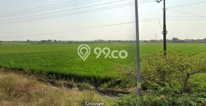 Tanah untuk Dijual di Randudongkal Pemalang Luas 25109m2 Tanah untuk Dijual di Randudongkal Pemalang Luas 25109m2