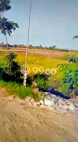 Tanah Strategis Dijual di Brebes Brebes 120000m2 Tanah Strategis Dijual di Brebes Brebes 120000m2