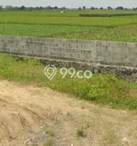 Tanah di Brebes, Brebes Luas 30000m2 Dijual Segera Tanah di Brebes, Brebes Luas 30000m2 Dijual Segera