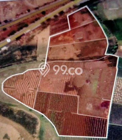Lahan Kosong Dijual di Brebes dengan Area 50000m2 Lahan Kosong Dijual di Brebes dengan Area 50000m2