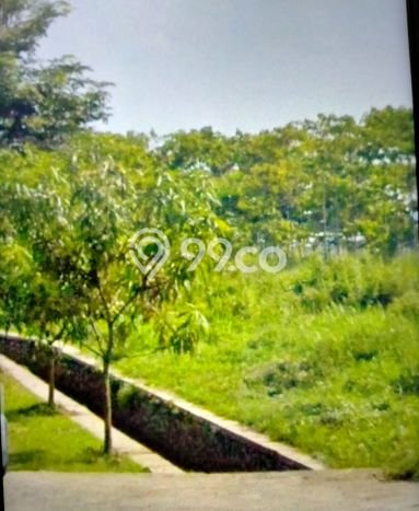 Jarang Ada! Tanah di Cicalengka Punya Luas 25000m2 - Jarang Ada! Tanah di Cicalengka Punya Luas 25000m2 -