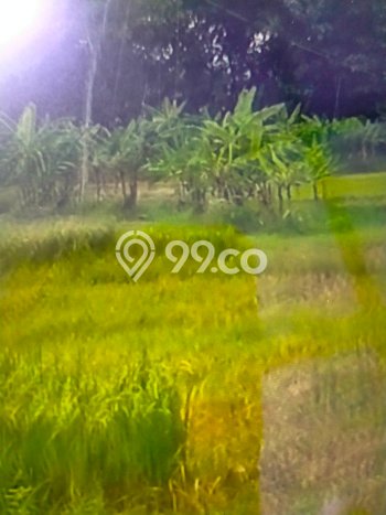 Tanah Strategis Dijual di Brebes Brebes 120000m2 Tanah Strategis Dijual di Brebes Brebes 120000m2