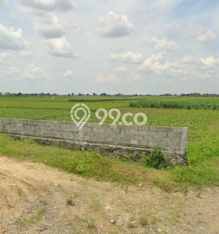 Tanah di Brebes, Brebes Luas 30000m2 Dijual Segera Tanah di Brebes, Brebes Luas 30000m2 Dijual Segera