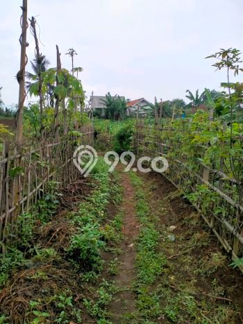 Tanah Dijual Lokasi Rancaekek, Bandung Luas 14000m2 Legalitas Aman Tanah Dijual Lokasi Rancaekek, Bandung Luas 14000m2 Legalitas Aman