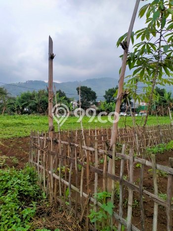Tanah Dijual Lokasi Rancaekek, Bandung Luas 14000m2 Legalitas Aman Tanah Dijual Lokasi Rancaekek, Bandung Luas 14000m2 Legalitas Aman