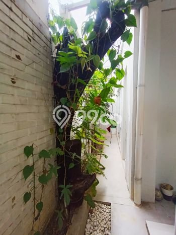 Dijual Hunian Rumah Terawat 3 Kamar di Antang, Makassar Dijual Hunian Rumah Terawat 3 Kamar di Antang, Makassar