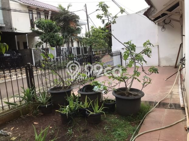 Siap Huni Rumah Mewah 4 Kamar di Pesanggrahan Dekat ke Mana Pun Siap Huni Rumah Mewah 4 Kamar di Pesanggrahan Dekat ke Mana Pun