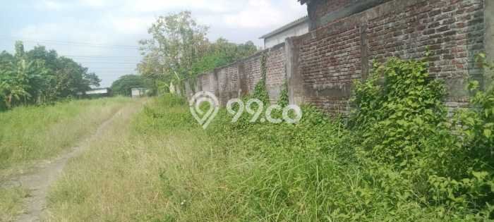 Lahan Investasi Lokasi Menganti Gresik SHM Lahan Investasi Lokasi Menganti Gresik SHM