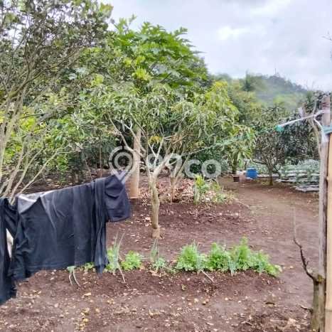 Tanah Kavling Dijual di Lembang, Bandung dengan Luas Tanah 5500m2 Tanah Kavling Dijual di Lembang, Bandung dengan Luas Tanah 5500m2