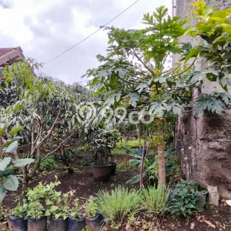 Tanah Kavling Dijual di Lembang, Bandung dengan Luas Tanah 5500m2 Tanah Kavling Dijual di Lembang, Bandung dengan Luas Tanah 5500m2