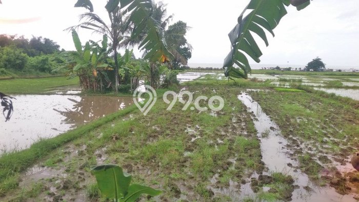 Lahan Dijual Lokasi Strategis di Gianyar dengan Luas 12504m2 Lahan Dijual Lokasi Strategis di Gianyar dengan Luas 12504m2